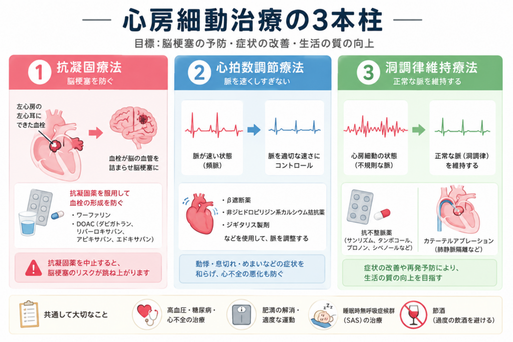 心房細動治療の3本柱を示すインフォグラフィック。①抗凝固療法で脳梗塞を防ぐ、②心拍数調節療法で脈を速くしすぎない、③洞調律維持療法で正常な脈を維持する、という3つの柱と、高血圧・糖尿病・肥満・睡眠時無呼吸症候群(SAS)・節酒など共通して大切な生活習慣管理をまとめている
